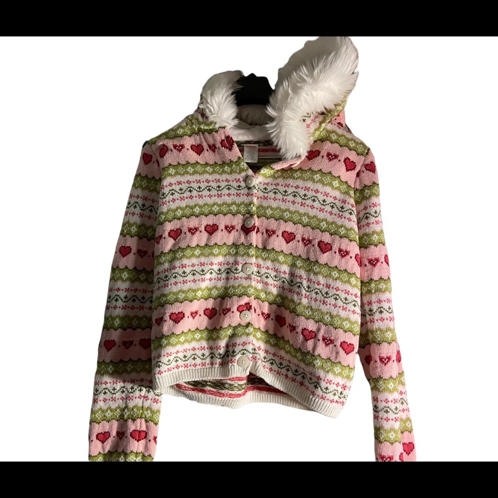 Gymboree Hooded Sweater
